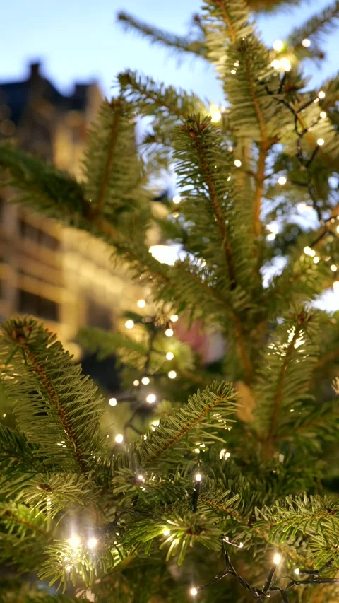 Vertical shot of christmas tree with ancient buildings in the background 動画素材 222068096
