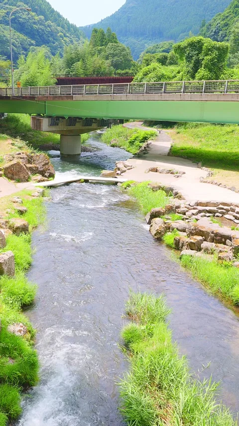 Vertical shot of clear river stream flowing under bridge near Jion Falls 動画素材 341806351