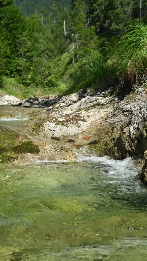 Vertical shot of a closeup of a mountain stream Stock-Footage 260882135