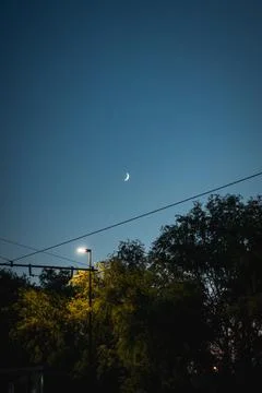 Vertical shot of the crescent moon, trees, and a street lamp Fotos Stock