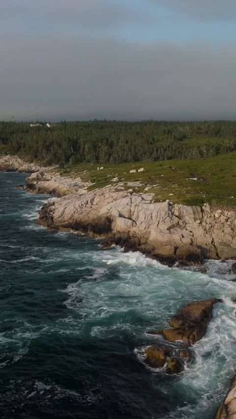 Vertical Shot From Drone Above Waves Hitting Rocky Coast In Halifax Nova Scotia Stock Footage 313688831