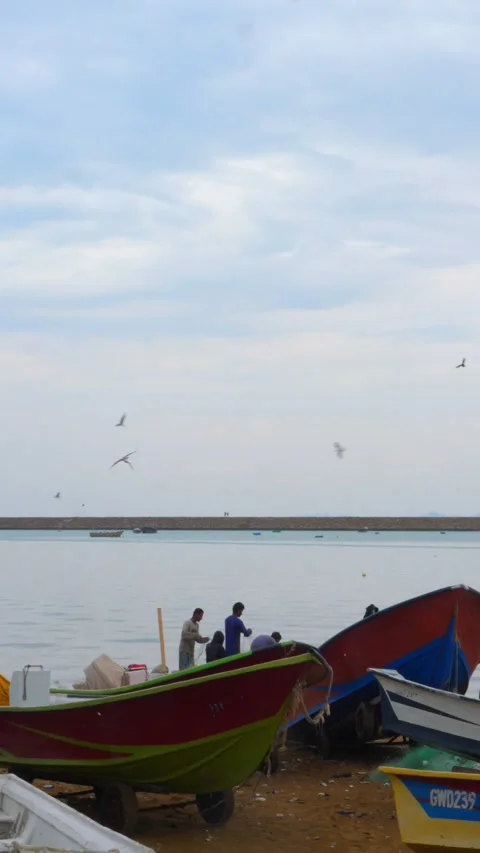 Vertical shot of eagles flying over sea bank with couple of boats in foreground Stock Footage 312772446