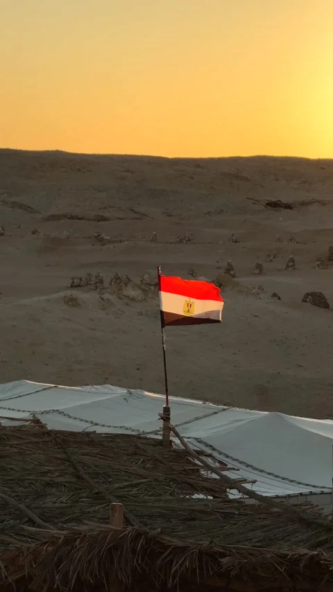 Vertical Shot of Egyptian Flag Waving over Bedouin Desert Camp at Golden Sunset Vídeos de archivo 341910199