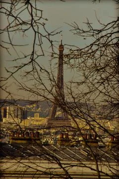 Vertical shot of the Eiffel Tower with tree branches in the foreground, Paris, F Stock Photos