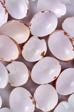 Vertical shot empty eggshells. Collection of broken empty eggshells. Stock Photos