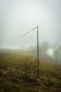 Vertical shot of the fields on misty day Stock Photos