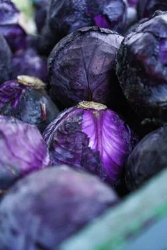 Vertical shot of fresh red cabbages in the box in the market Stock Photos