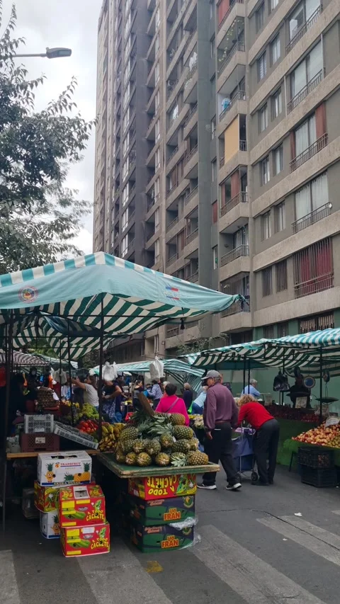 Vertical shot of fruit and vegetable street market in the center of Santiago Stock Footage 336043130