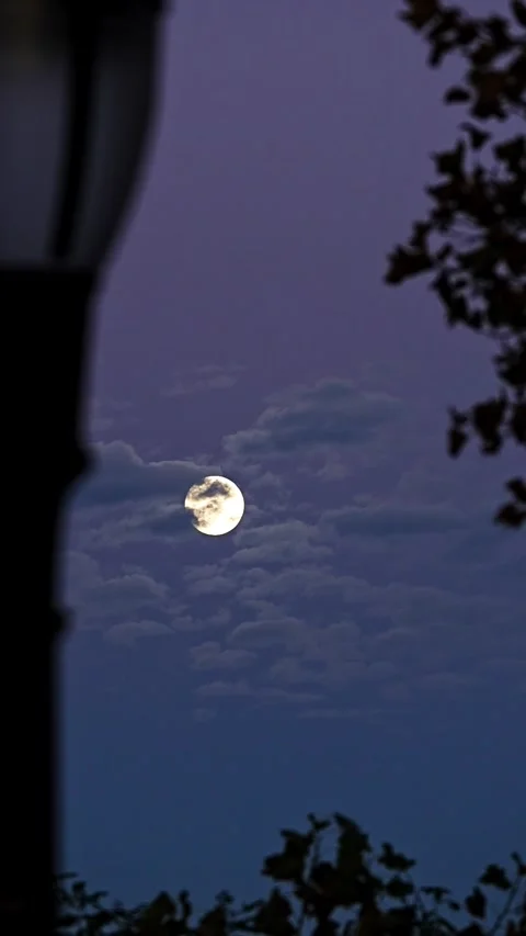 Vertical shot of full moon over street lamp new york city with clouds Stock Footage 299770707