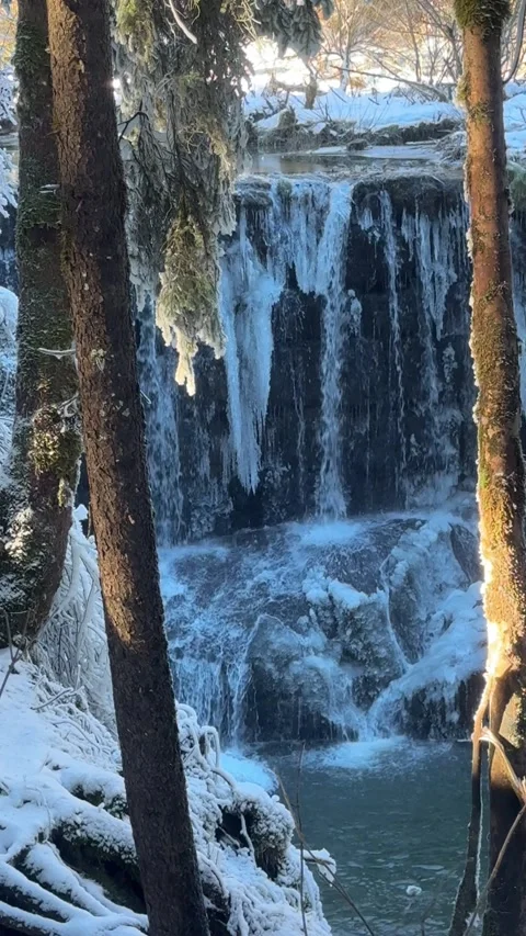 A vertical shot of the Geratser Wasserfall framed by snowy trees, with icy Stock Footage 300411743