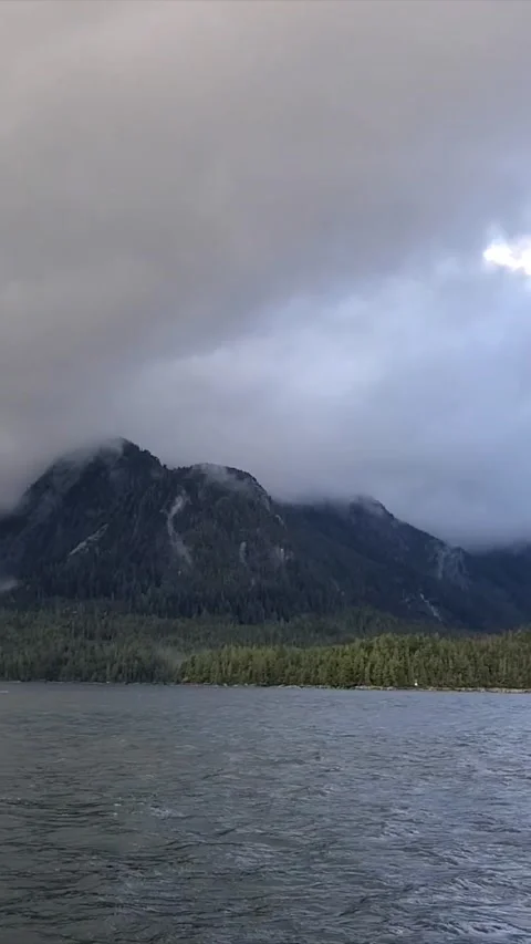 Vertical shot of the Great Bear Rainforest Video stock 167295482
