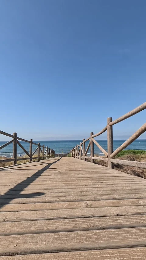 Vertical shot ground level view along wooden path Stock Footage 283865932