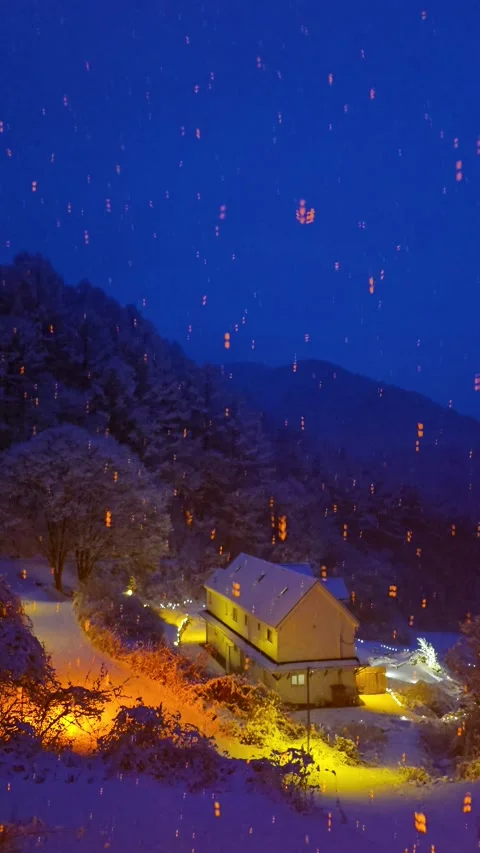 Vertical Shot of Heavy Snowfall Over a House in the Forest at Night (9:16) Stock Footage 330628047