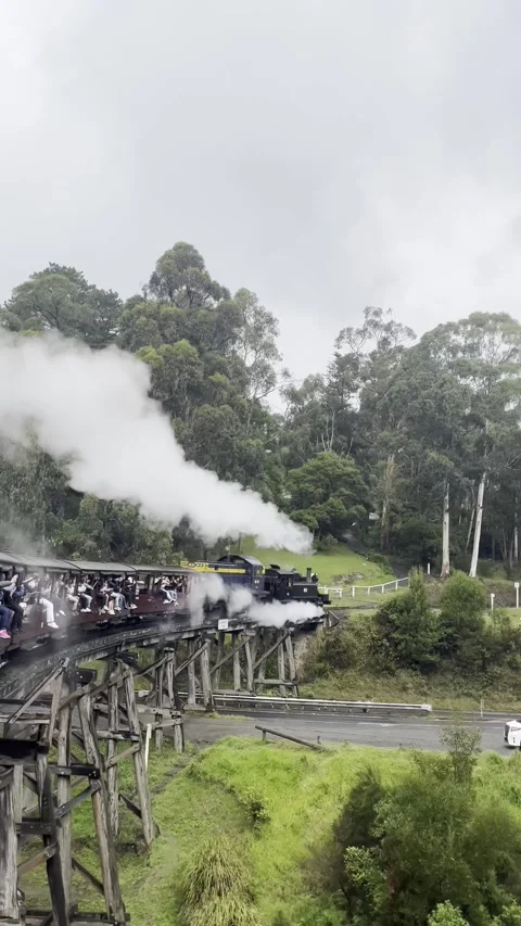Vertical shot of a heritage steam train crossing a wooden trestle bridge with 動画素材 346425508