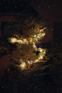 Vertical shot of illuminated string lights on a tree in a garden Stock Photos