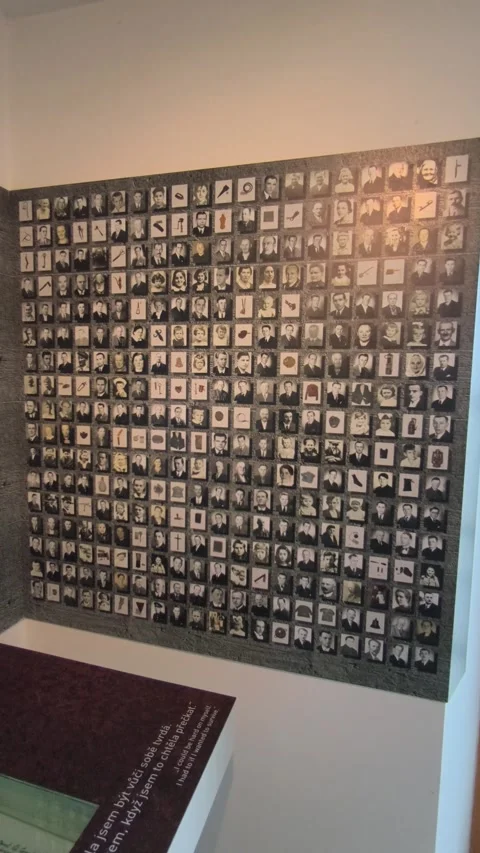 Vertical shot of Lidice memorial wall covered with portraits of victims. Museum 스톡 동영상 334250896