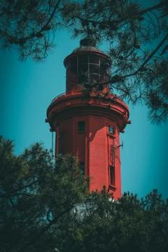A vertical shot of a lighthouse visible through tress with clear blue sky in  Stock Photos