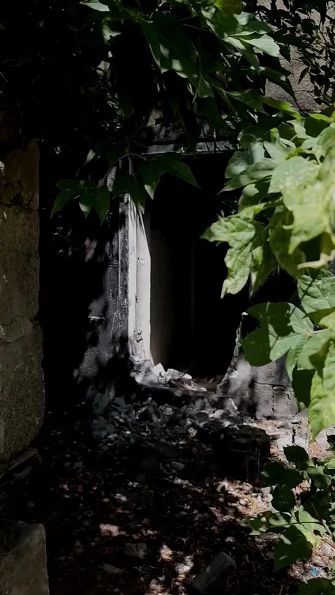 Vertical shot looking through green leaves at a burnt window frame of an aba Stock-Footage 328402432