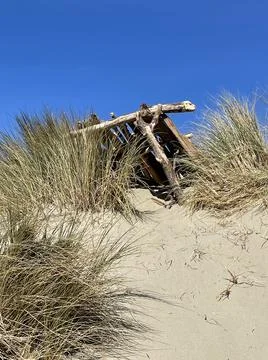 A vertical shot of a man made structure out of driftwood on a beach dune surr Stock Photos