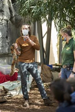 Vertical shot of a man presenting a python snake during a show in a zoo in Pozna Stock Photos