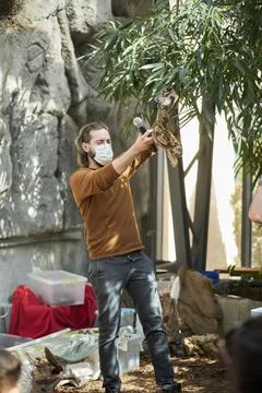 Vertical shot of a man presenting a python snake during a show in a zoo in Pozna 스톡 사진