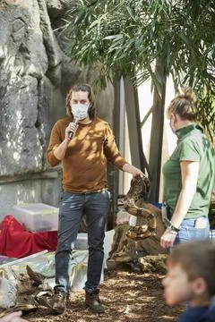Vertical shot of a man presenting a python snake during a show in a zoo in Pozna Foto stock