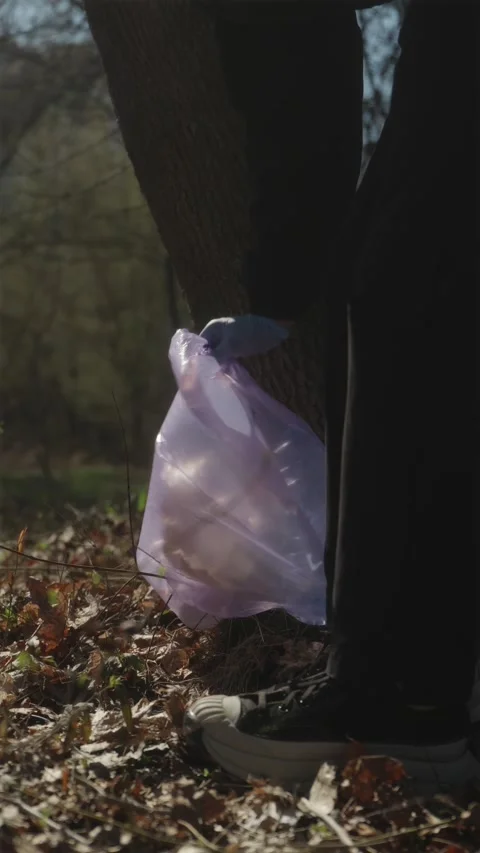Vertical shot of man taking full garbage bag from forest floor Stock Footage 333118427