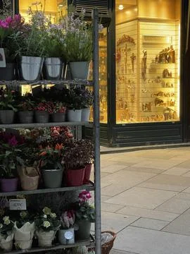 Vertical shot of many plant pots on the shelves on street flower shop in euro Stock Photos