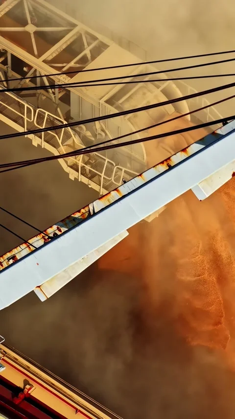 Vertical shot mineral ore being processed on industrial conveyor belt Vidéo 336037882