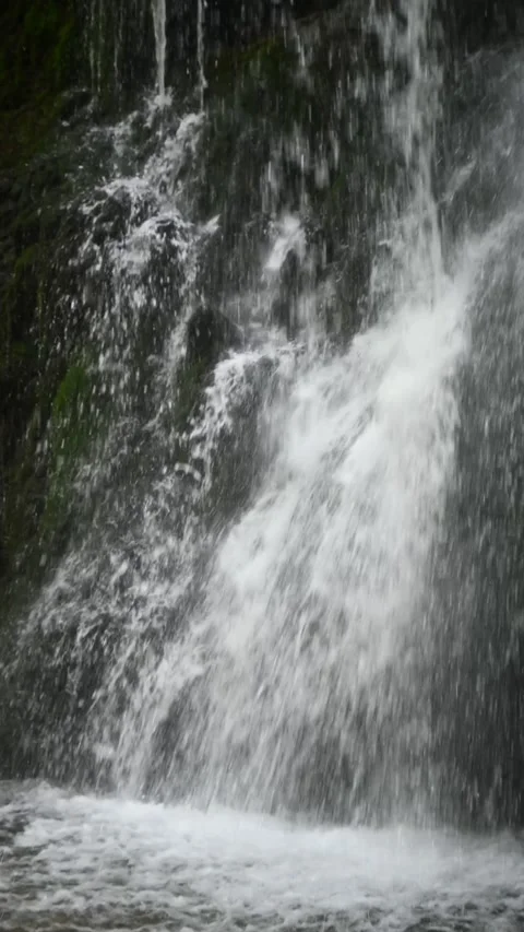 Vertical shot of a mossy waterfall, slow motion Stock-Footage 260899850