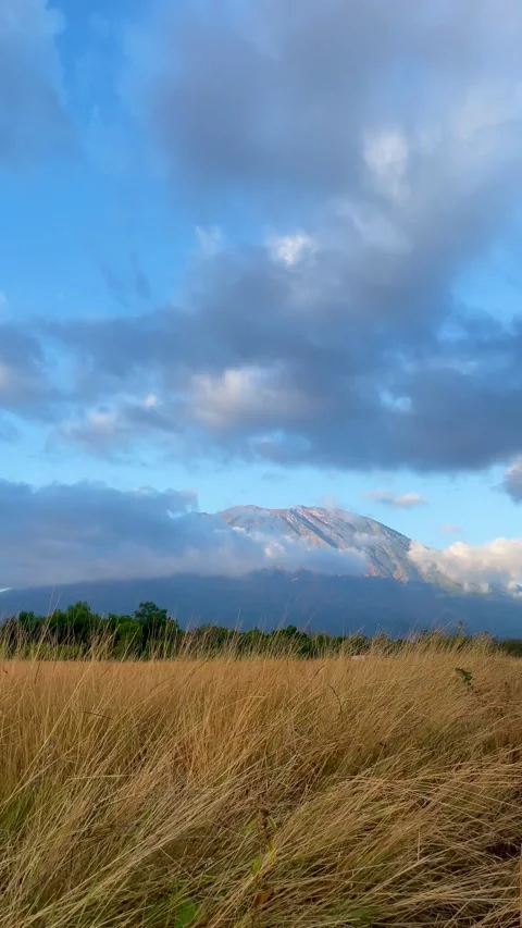 Vertical Shot of Mount Agung Behind Golden Savanna Field 動画素材 341551980