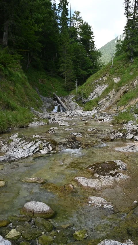 Vertical shot of a mountain stream and a forest in the shade of a cloud Video stock 260881088