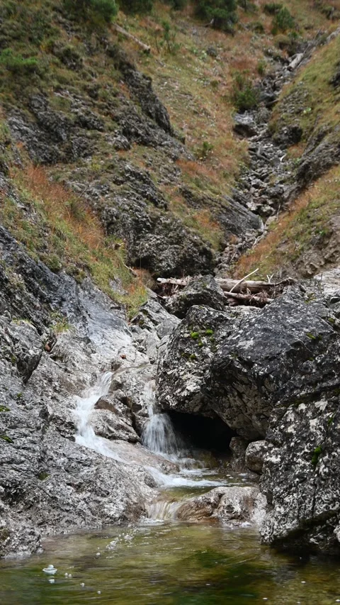 Vertical shot of a mountain stream in autumn, overcast Stock-Footage 260895325