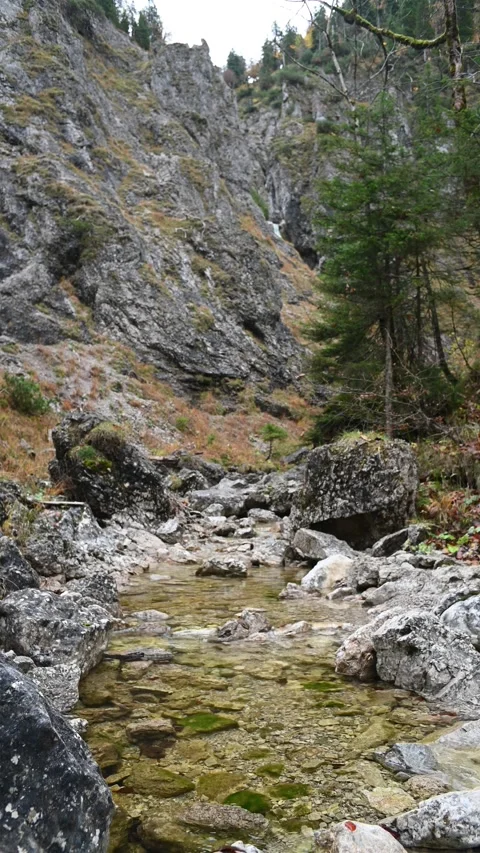 Vertical shot of a mountain stream in autumn, overcast Stock-Footage 260895446