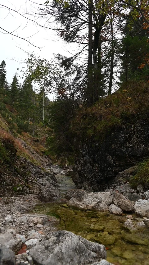 Vertical shot of a mountain stream in autumn, overcast Stock Footage 260895817
