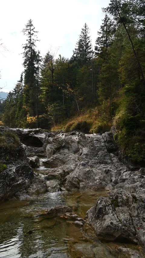 Vertical shot of a mountain stream in autumn Stock-Footage 260927951