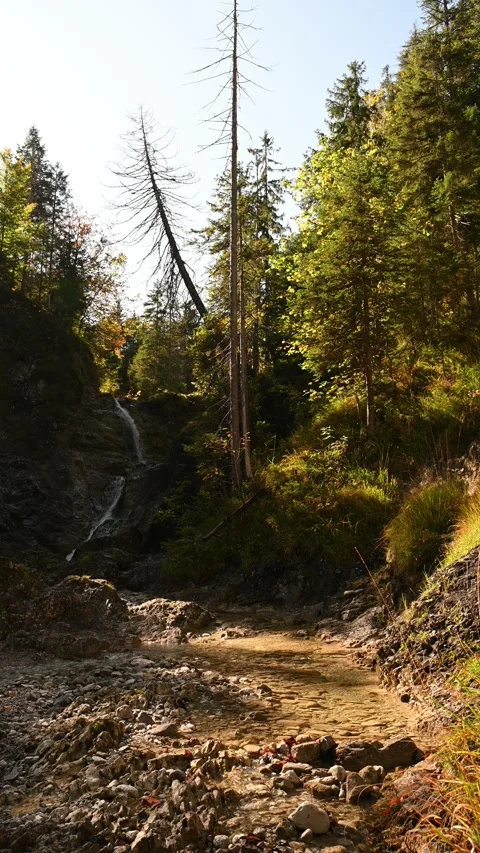 Vertical shot of a mountain stream in autumn in a forest Stock-Footage 260928457