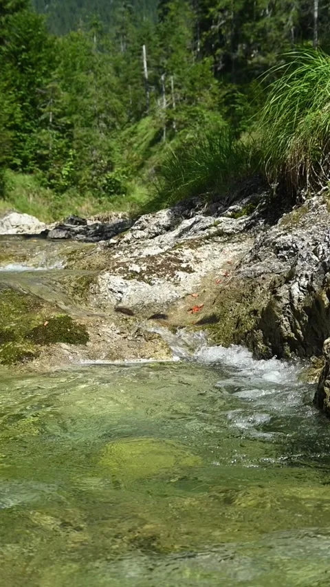 Vertical shot of a mountain stream with clear water, slow motion Stock-Footage 260883638