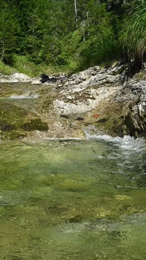 Vertical shot of a mountain stream with clear water and a pond in the foreground Stock-Footage 260883760