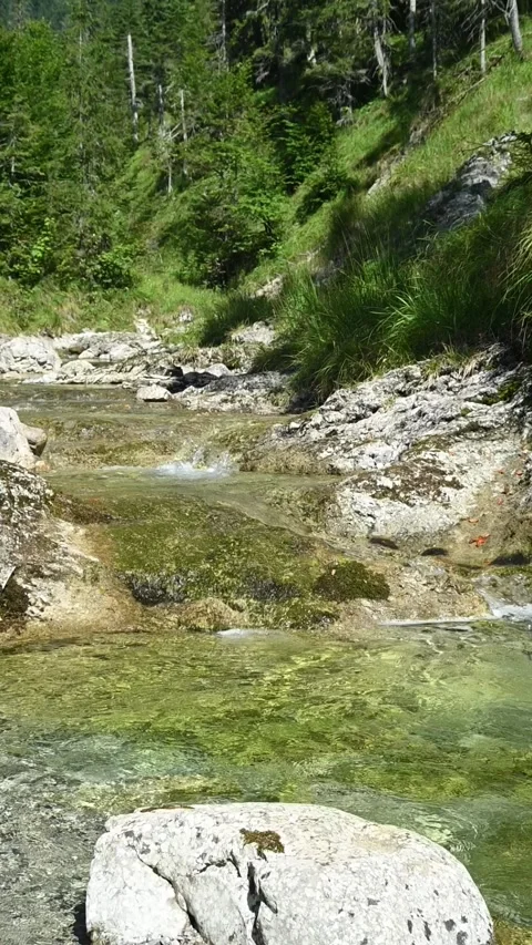 Vertical shot of a mountain stream with clear water and a rock in the foreground Stock-Footage 260883893