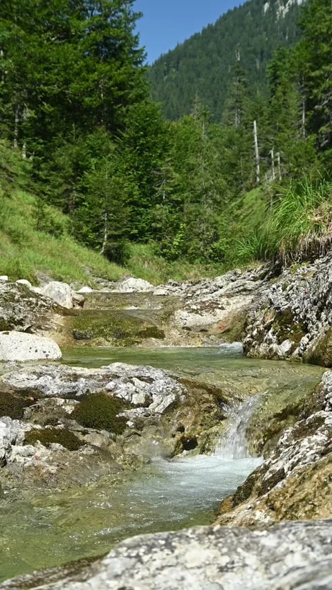 Vertical shot of a mountain stream with clear water, with a forest, slow motion Stock Footage 260884019