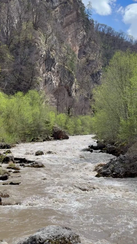 Vertical shot of a mountain stream flowing between large rocks with fresh water Stock Footage 335584567