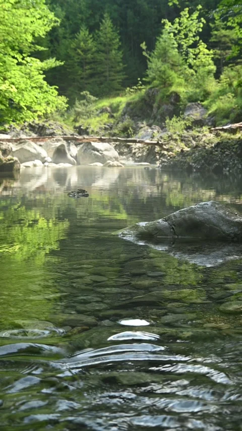 Vertical shot of a mountain stream in a forest with trees reflecting on it Stock-Footage 260875648