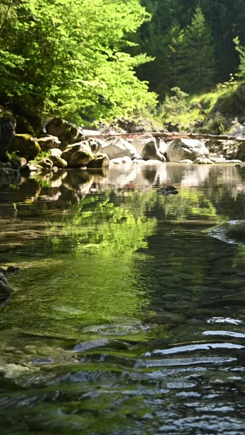 Vertical shot of a mountain stream in a forest in slow motion. Stock-Footage 260876034