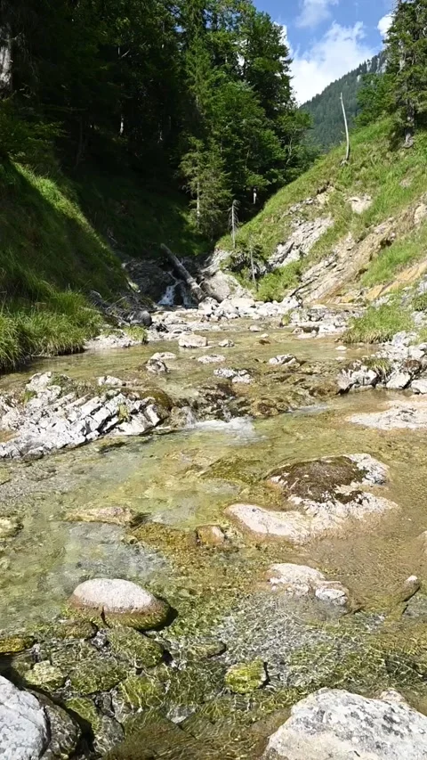Vertical shot of a mountain stream in a forest, slow motion Stock Footage 260881744