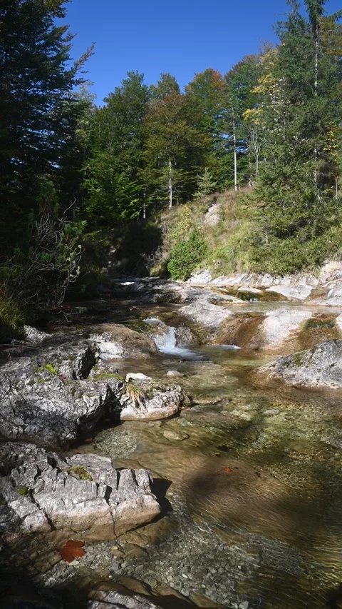 Vertical shot of a mountain stream in a forest in autumn Stock-Footage 260925420