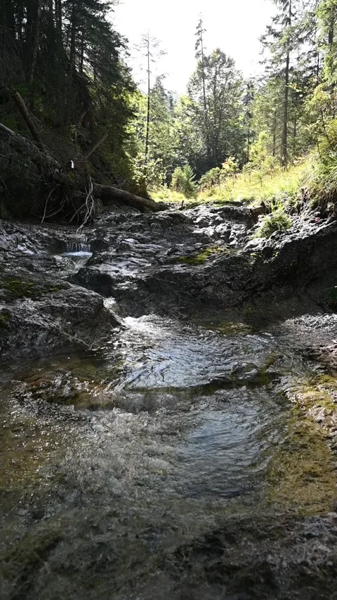 Vertical shot of a mountain stream in a forest, slow motion Stock-Footage 260927264