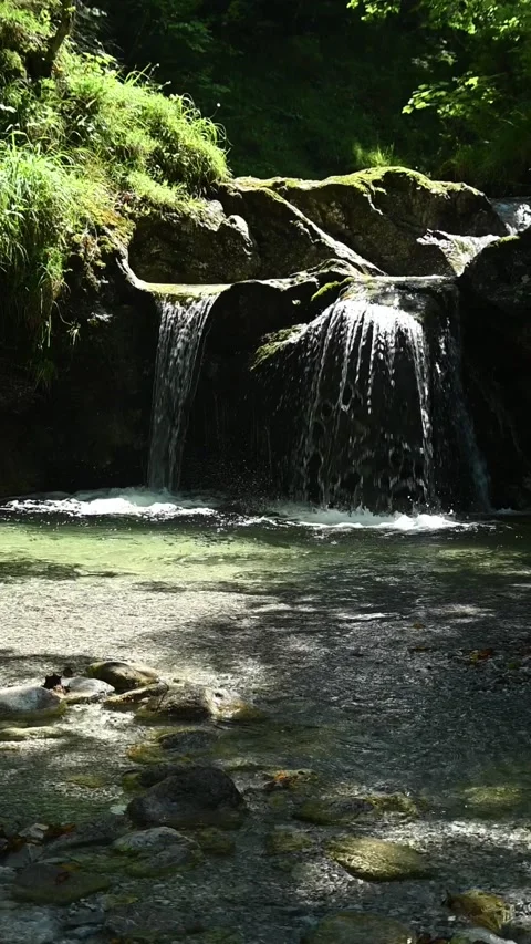 Vertical shot of a mountain stream in front of a small waterfall in summer, slow Stock-Footage 288324547