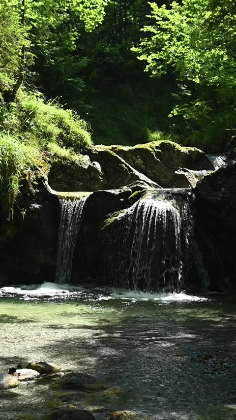 Vertical shot of a mountain stream in front of a small waterfall in summer, slow Stock-Footage 288324548