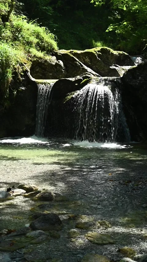 Vertical shot of a mountain stream in front of a small waterfall in summer, slow Stock-Footage 288324564
